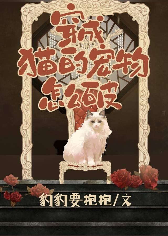 魔兽世界猫宠物怎么获得