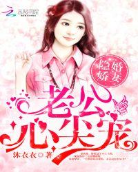 隐婚娇妻老公心尖宠完结版