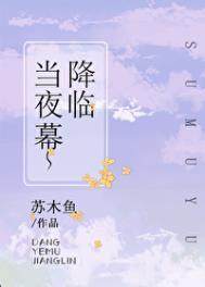 当夜幕降临的时候是什么歌曲