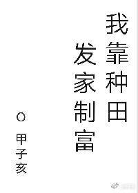 我靠种田发家致富 作者甲子亥