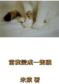 当我变成一只猫英语