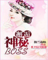 邂逅神秘BOSS 纳兰海映