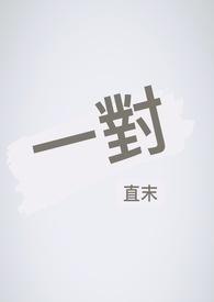 一对红打一字