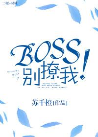 快穿boss别撩我