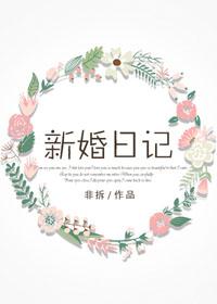 新婚日记在线观看中文版