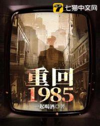 重回1985东北往事免费完整版