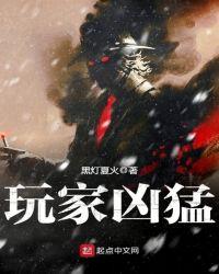 玩家凶猛笔趣阁无弹窗