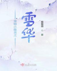 宠物小精灵雪女