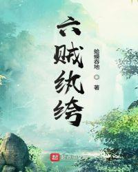 六贼无踪梗概