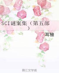 SCI谜案集第五部txt