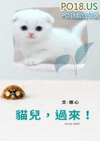 猫儿来