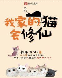 我家的猫咪上仙漫画免费下拉