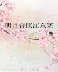 明月曾照江东寒剧情介绍