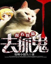 跟着猫走