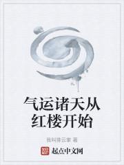 气运诸天从红楼开始ishiqige