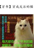 穿成反派的猫全文免费