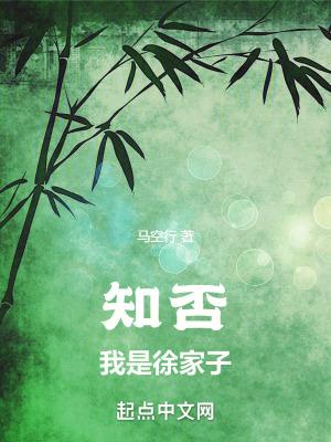 知否我是徐家子最新章节