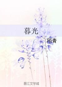 暮光之城2