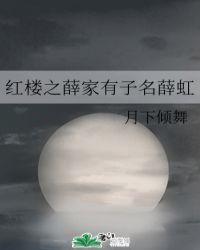 红楼之薛家有子名薛虹格格党