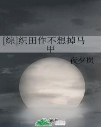 织田作不想掉马甲 作者夜夕岚