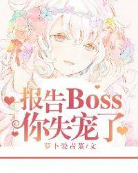 报告boss