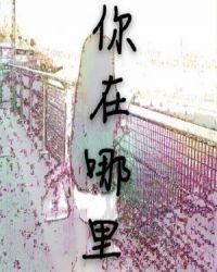 你在哪里万人中央什么歌曲