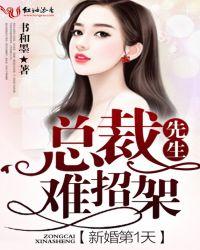 新婚总裁很神秘1