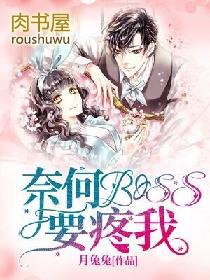 奈何boss又如何电视剧免费版