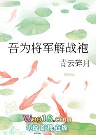 吾为将军解战袍在线阅读