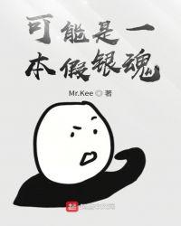 可能是本假银魂 Mr.Kee