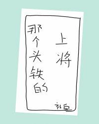 铁头将军案