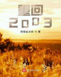 重回2003TXT