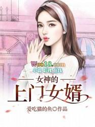 新上门女婿完整版