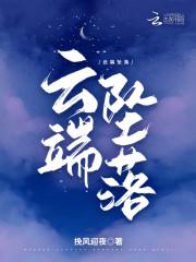 云端坠落 挽风迎夜