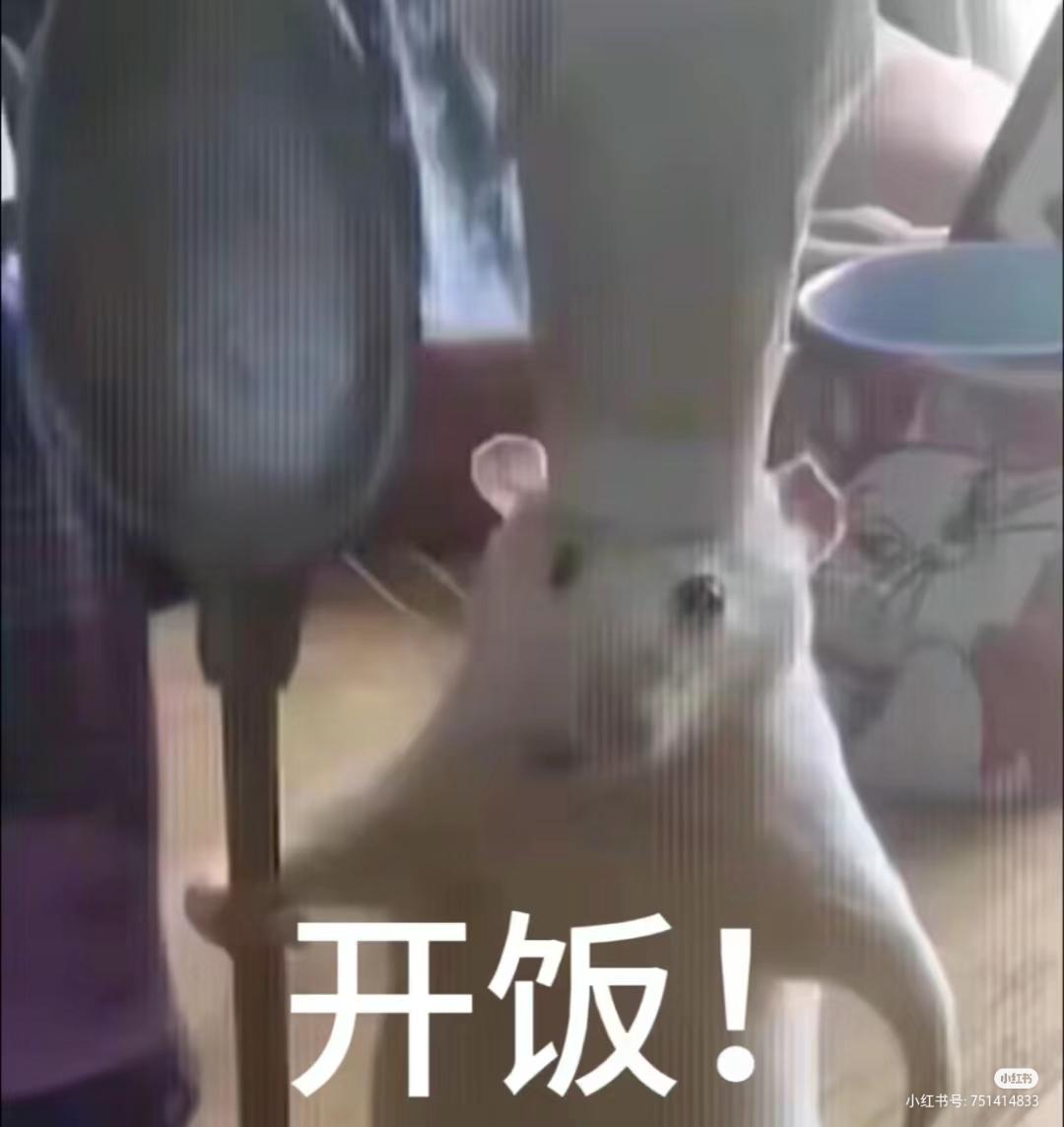 魅魔数据