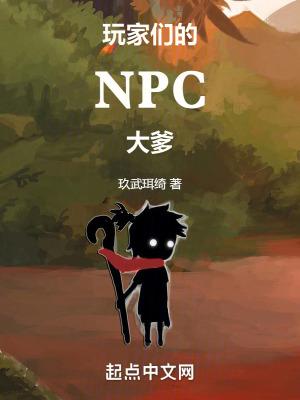 玩家与npc