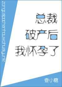 总裁破产后我怀孕了讲什么