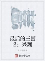 最后的三国2兴魏 无错版