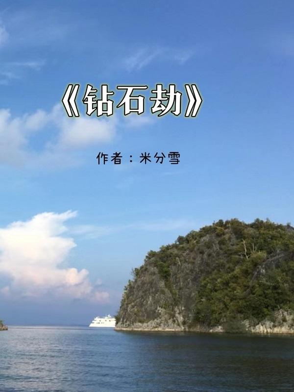 钻石劫案 张浩