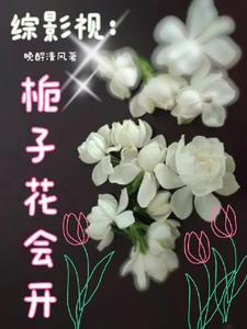 综影视之献花