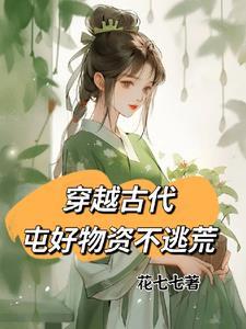 囤积物资穿越年代文