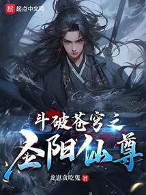 斗破苍穹之圣阳仙尊无错版