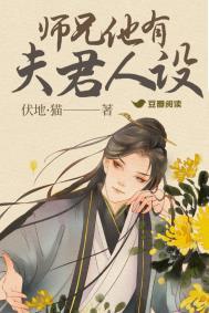 师兄他有夫君人设全文免费阅读