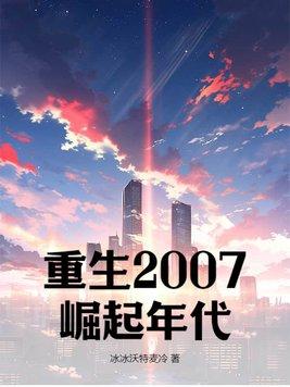 重生崛起2008