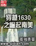 穿越1630之崛起南美版图