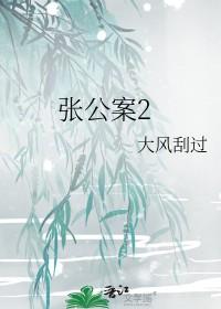 张公案2 百度