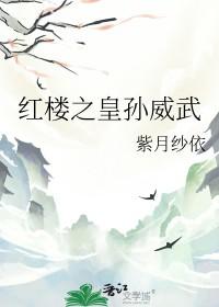 红楼梦孙绍祖穿越