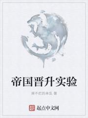 高级实验师晋升