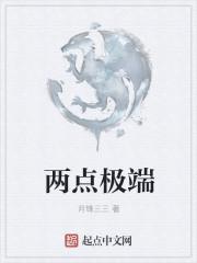 两极点是什么