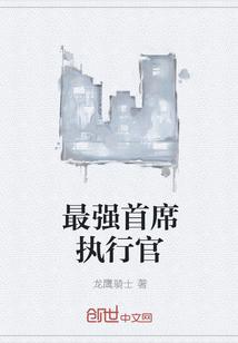 首席执行官是什么意思